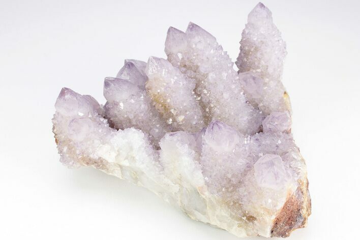 Cactus Quartz (Amethyst) Crystal Cluster - South Africa #206195